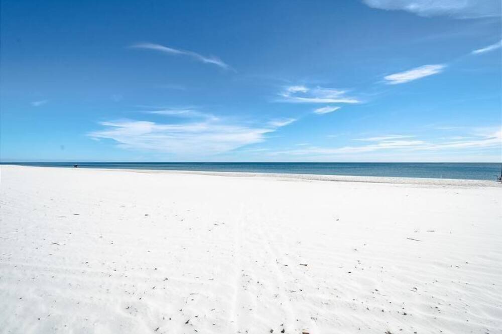 Photo of Others in Orange Beach