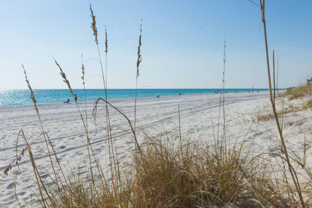 Photo of Others in Miramar Beach
