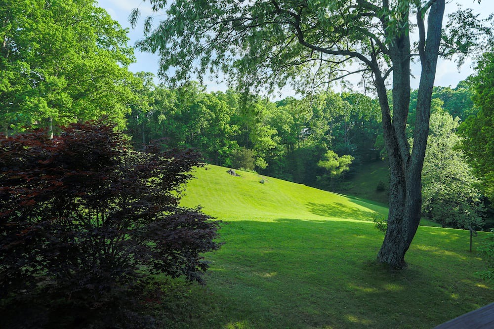 Photo of Outdoor in Asheville