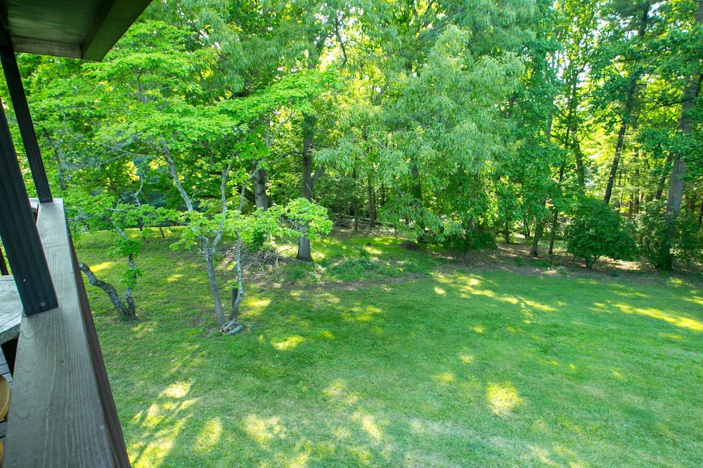 Photo of Outdoor in Asheville