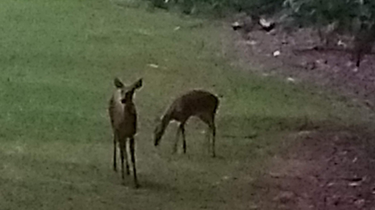 Photo of Outdoor in Eatonton
