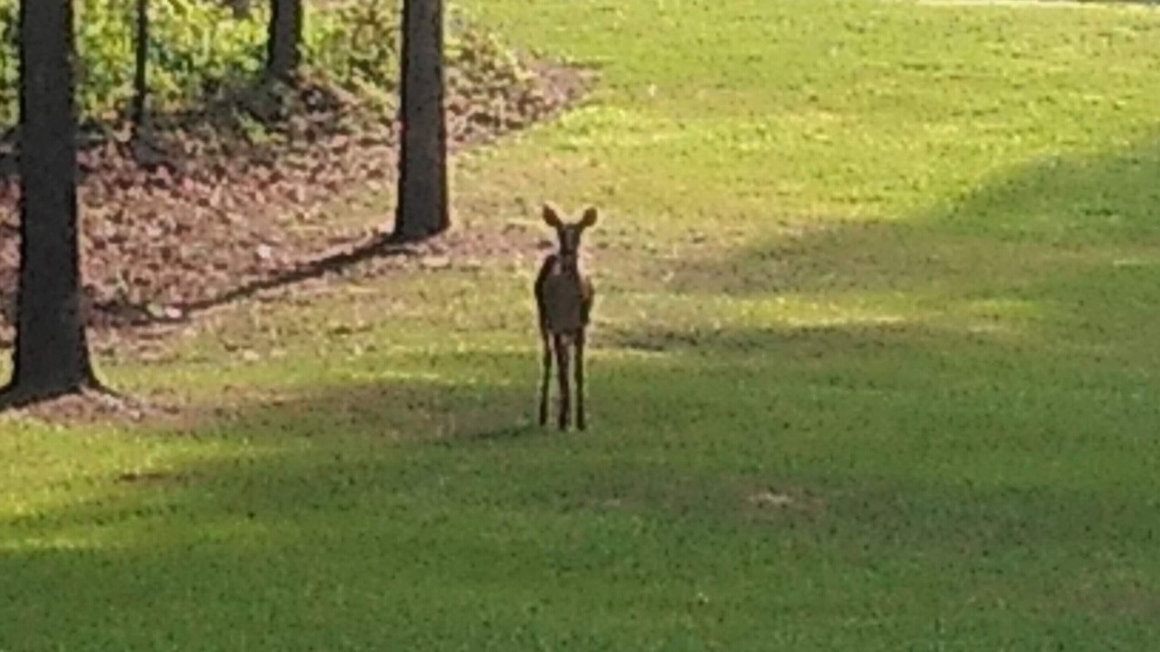 Photo of Others in Eatonton