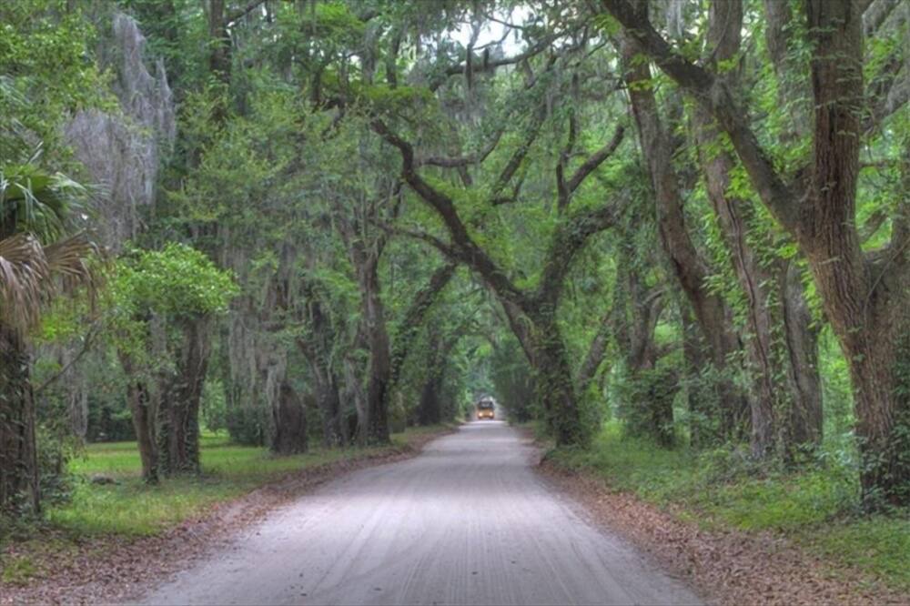 Photo of Others in Saint Helena Island