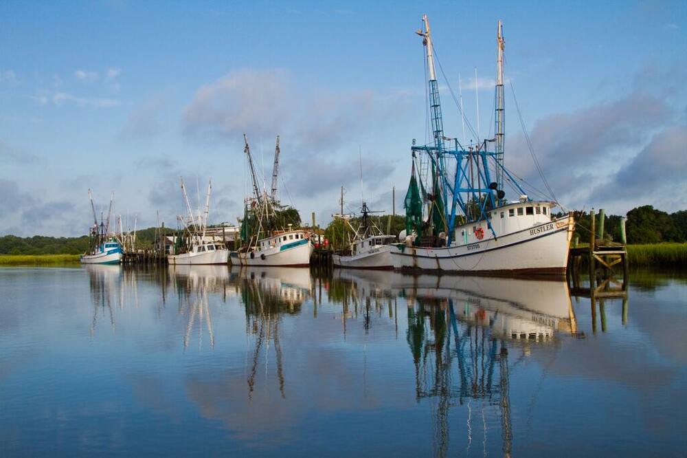 Photo of Others in Saint Helena Island