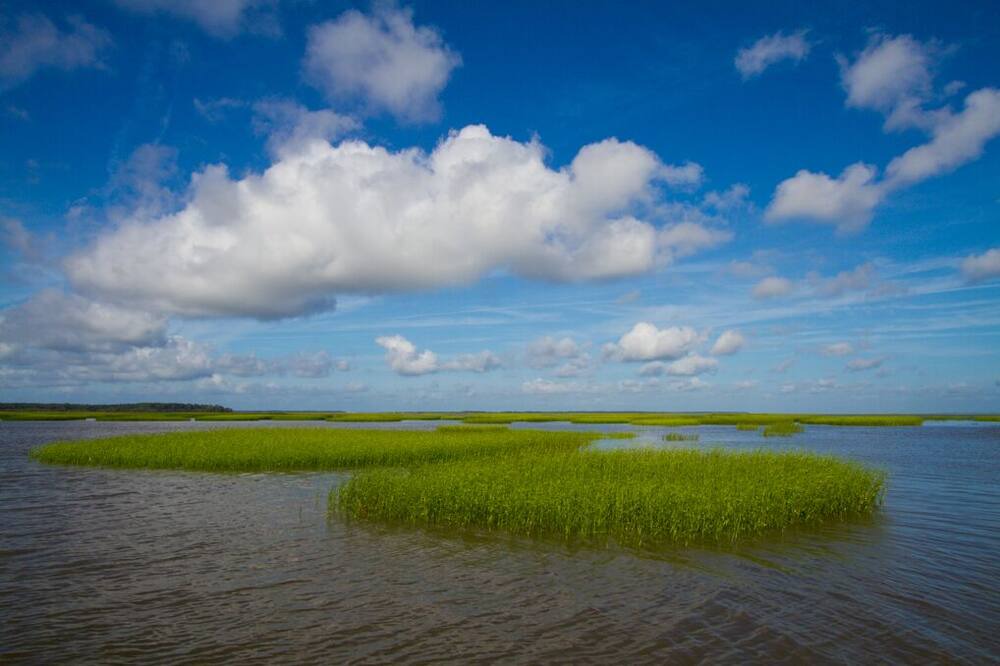 Photo of Outdoor in Saint Helena Island