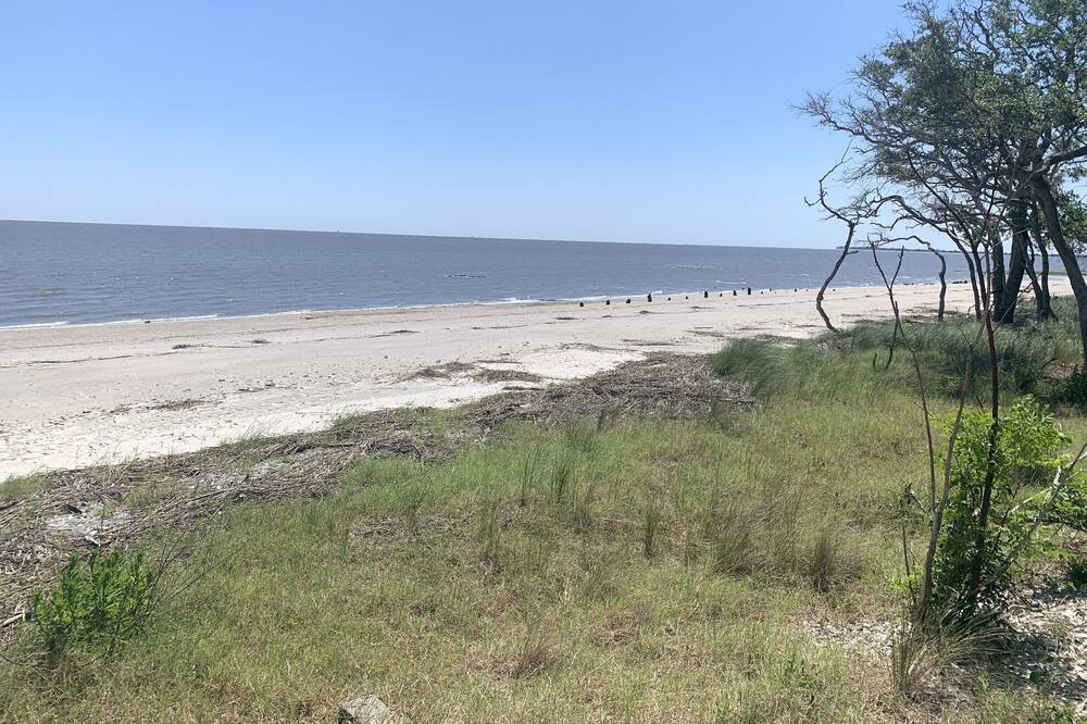 Photo of Others in Saint Helena Island
