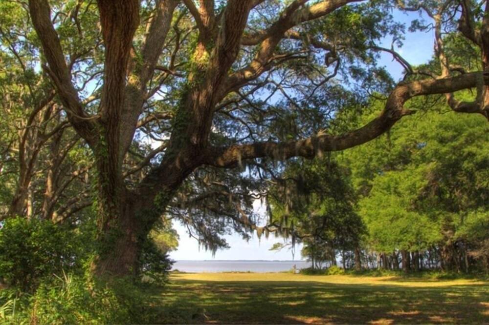 Photo of Others in Saint Helena Island