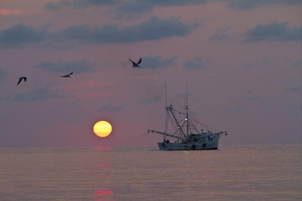 Photo of Others in Saint Helena Island