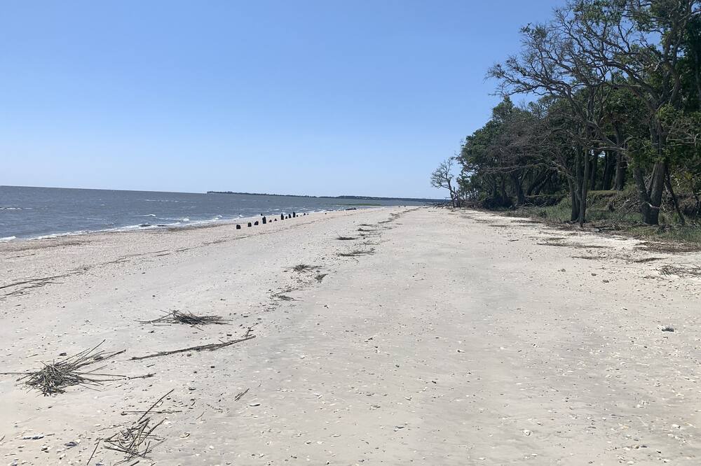 Photo of Others in Saint Helena Island