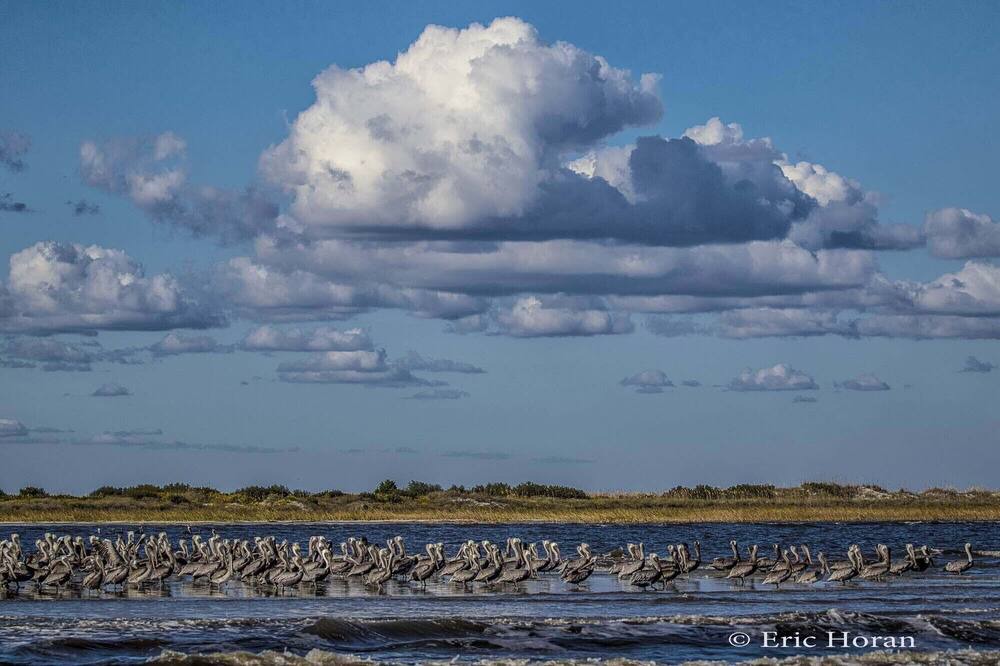 Photo of Others in Saint Helena Island