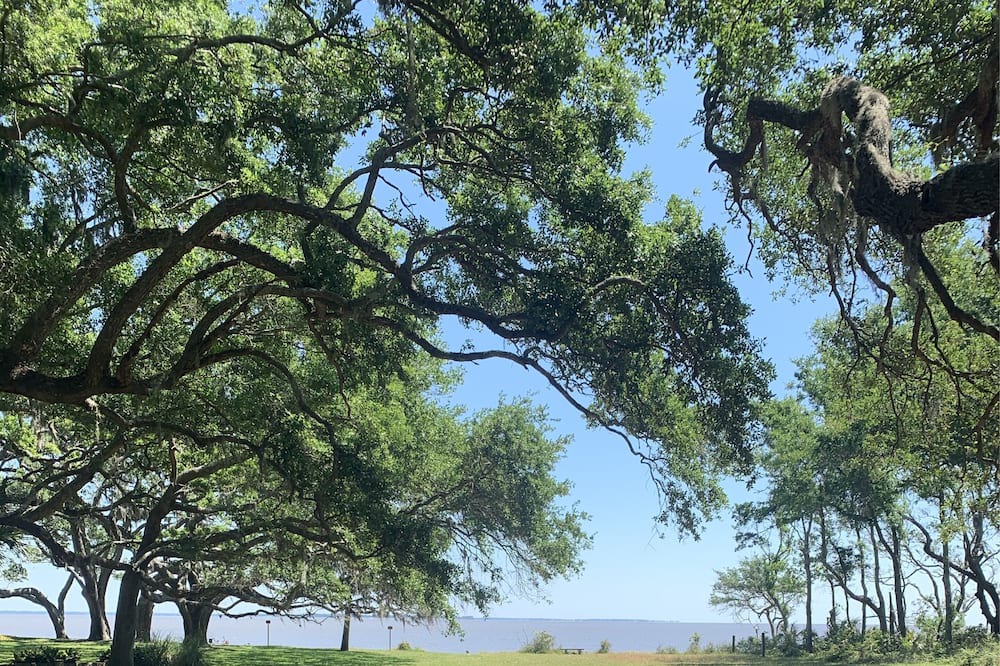Photo of Others in Saint Helena Island
