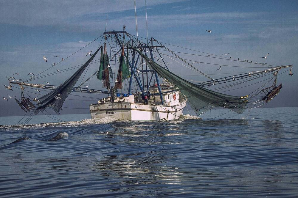Photo of Others in Saint Helena Island