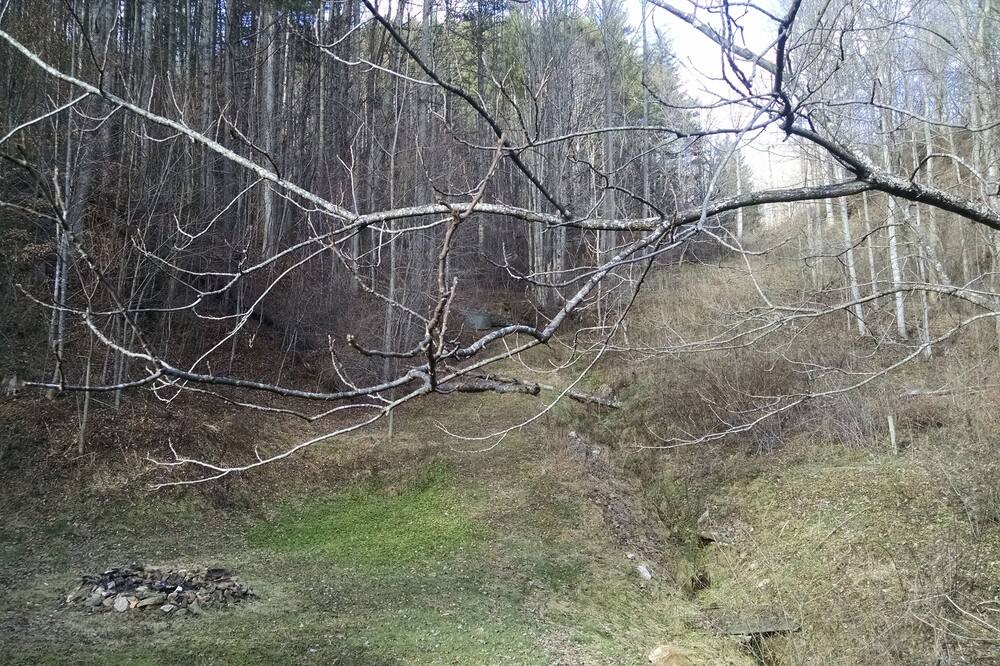 Photo of Outdoor in Sylva