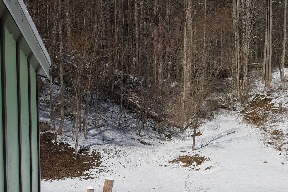 Photo of Others in Sylva