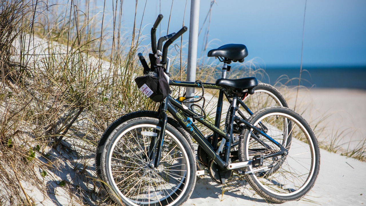 Photo of Outdoor in Fernandina Beach