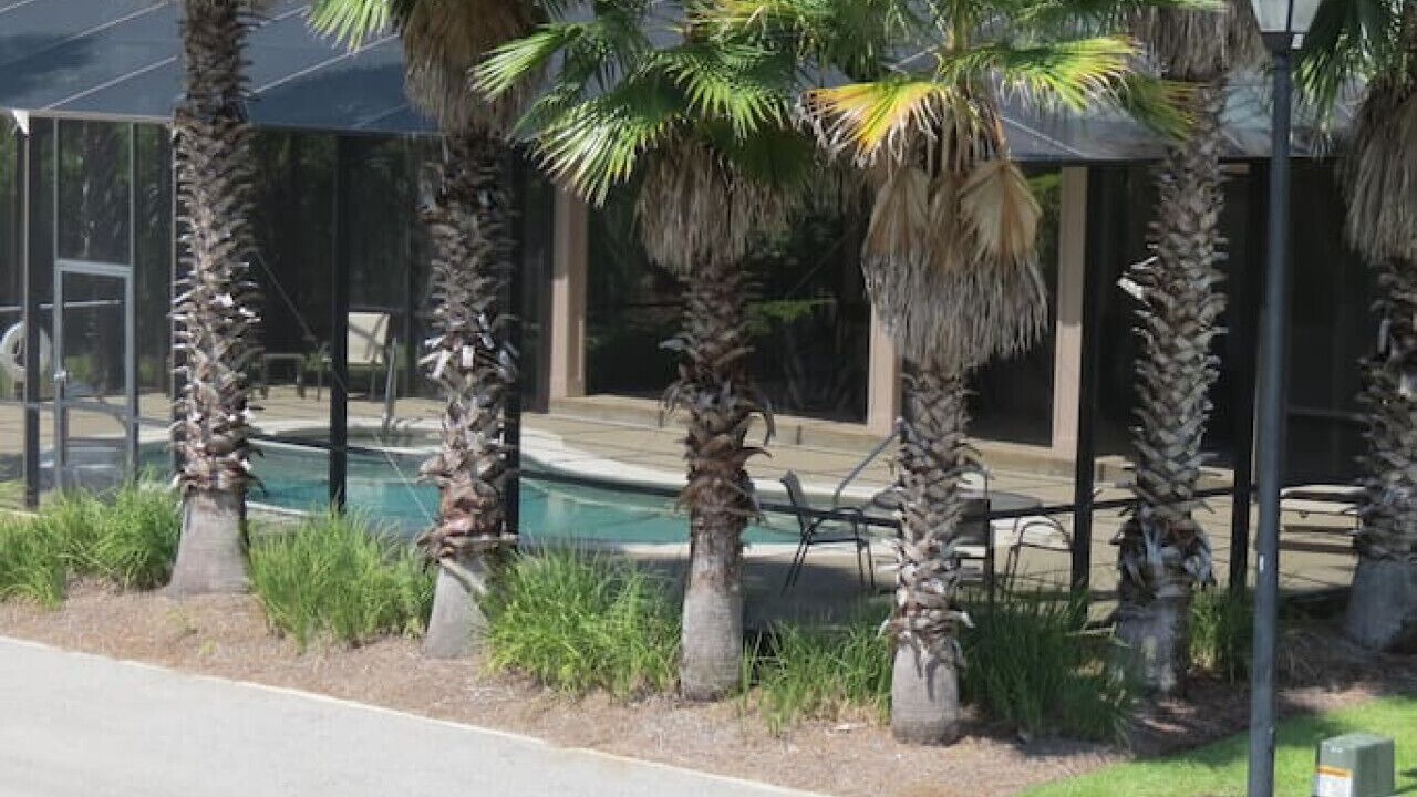 Photo of Outdoor in Gulf Shores