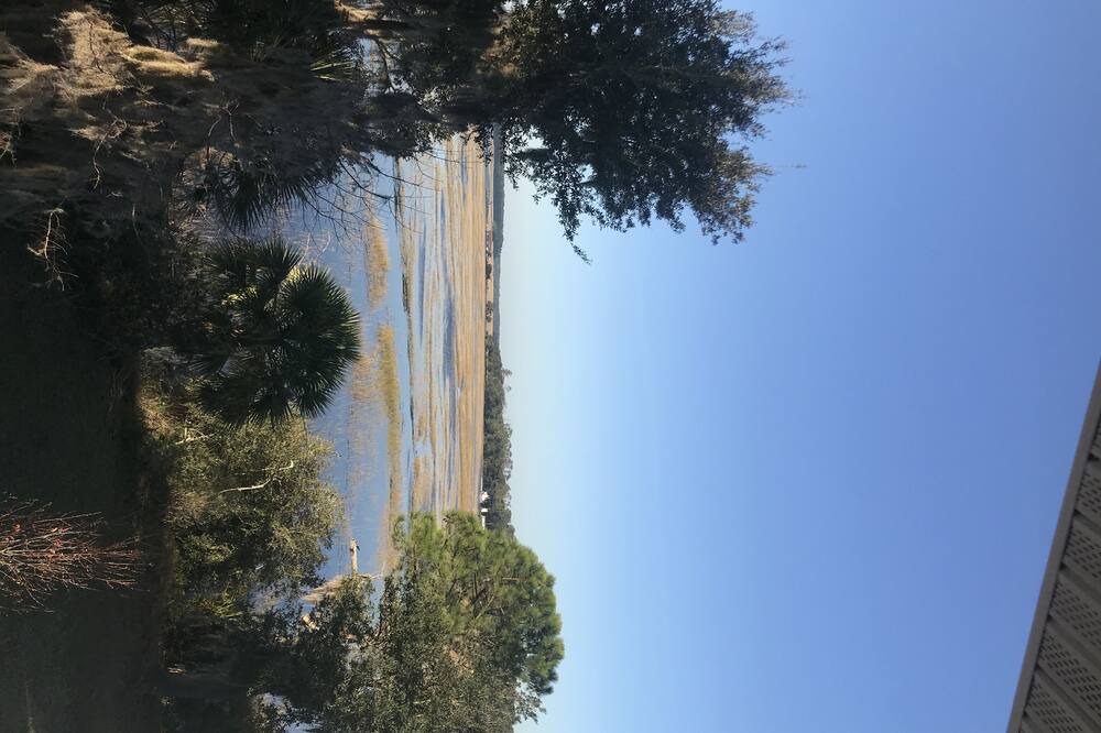 Photo of Others in Meridian
