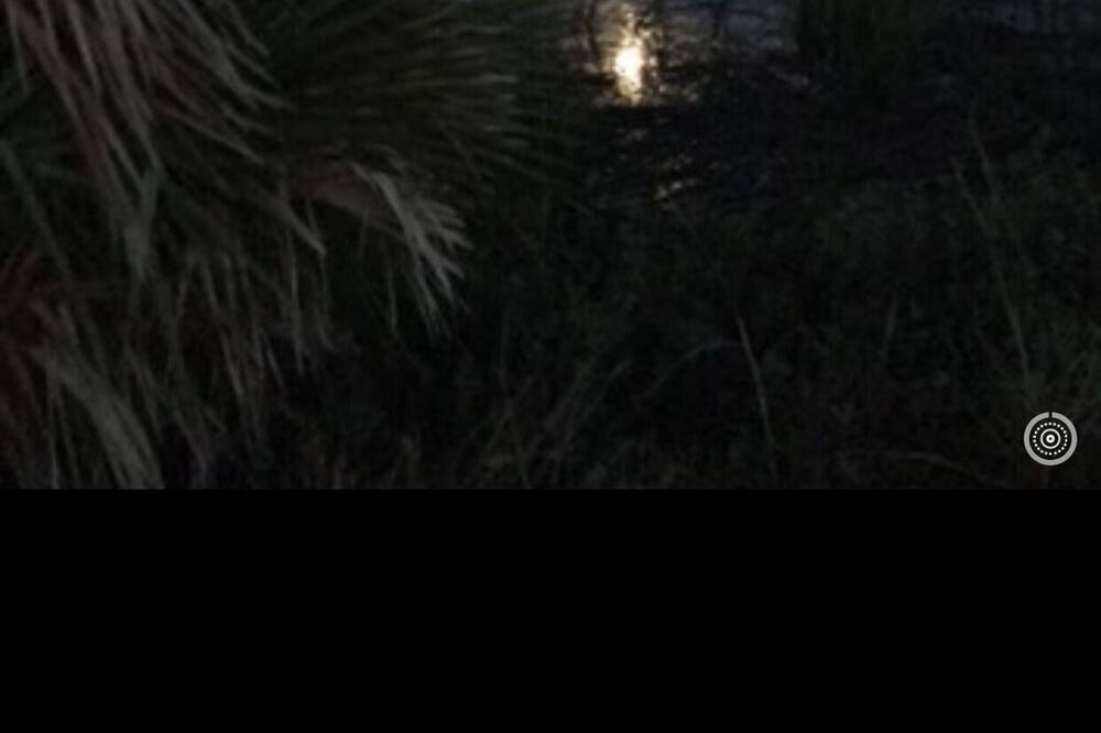 Photo of Others in Meridian