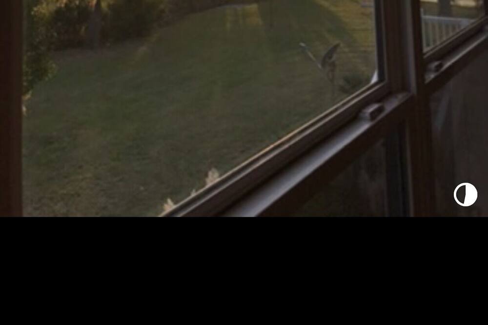 Photo of Others in Meridian