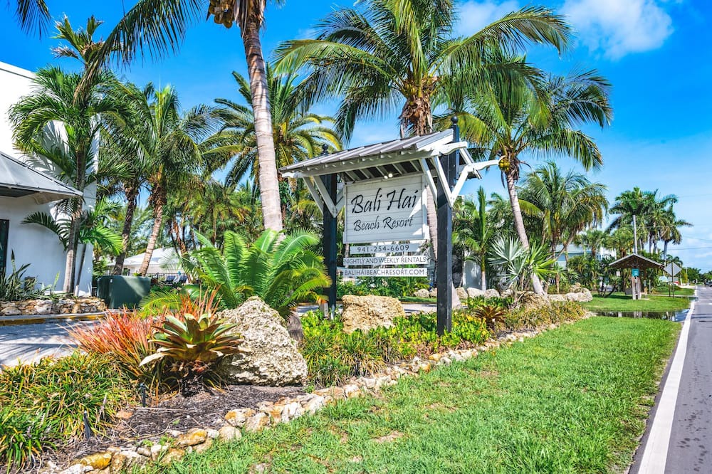 Photo of Outdoor in Whitney Beach