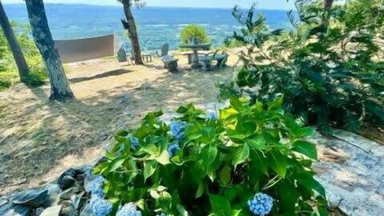 Photo of Outdoor in Valley Head