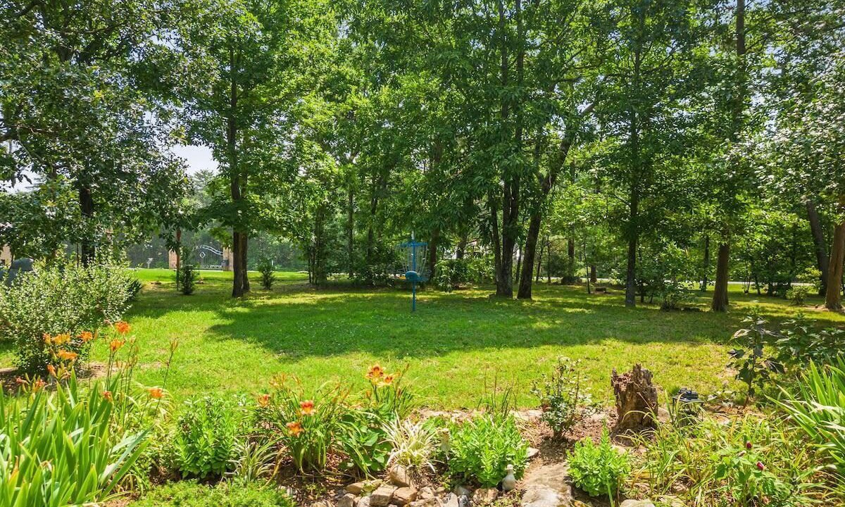 Photo of Outdoor in Valley Head