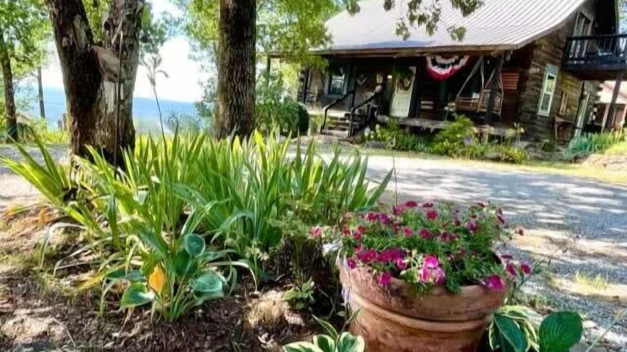Photo of Outdoor in Valley Head