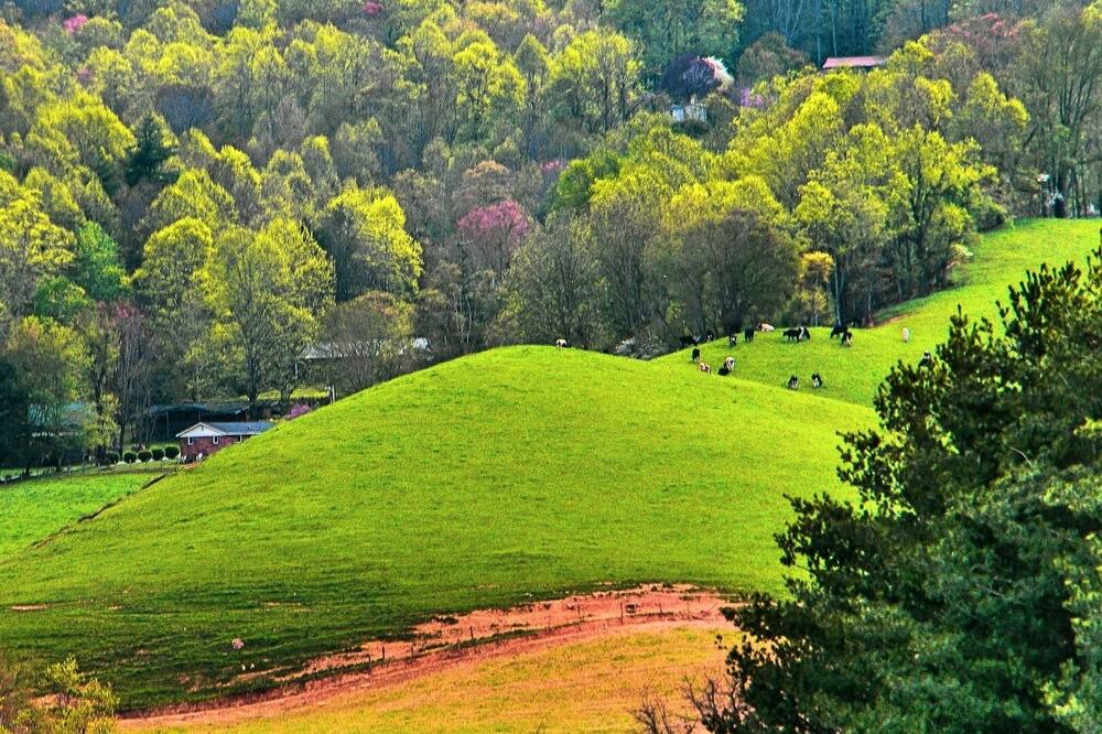 Photo of Outdoor in Waynesville