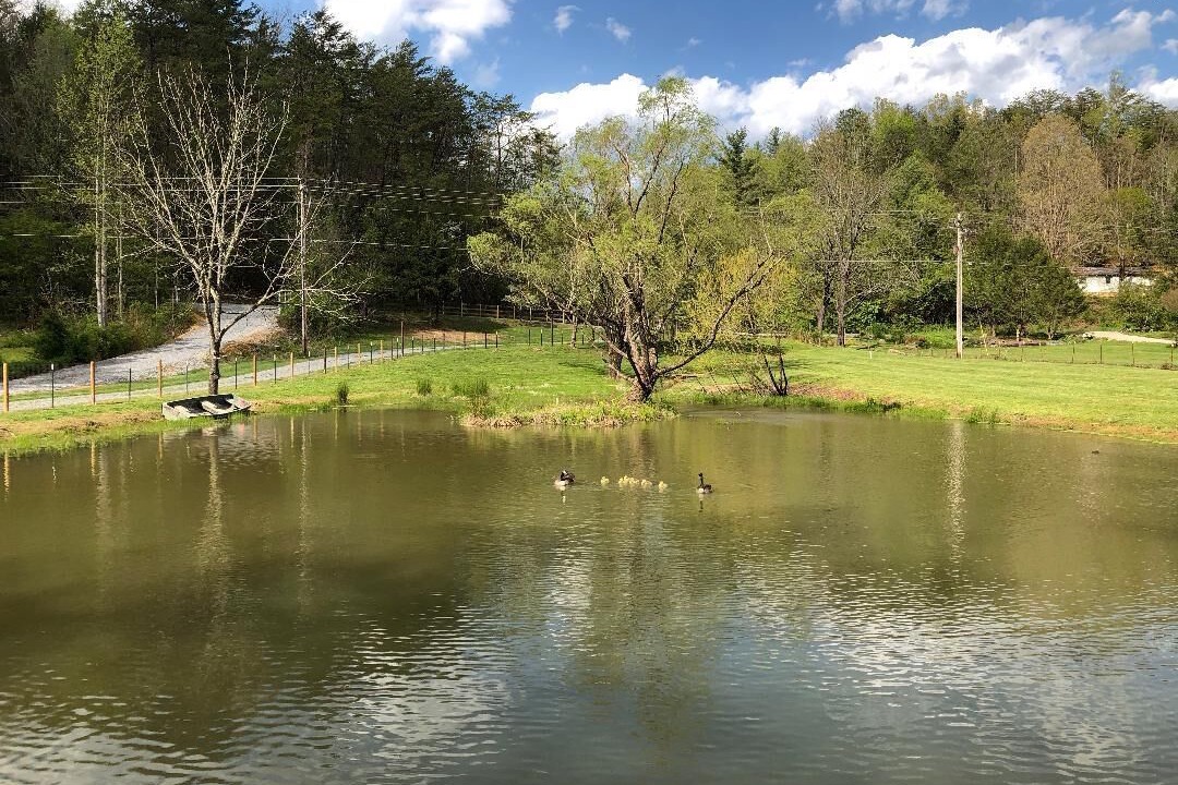 Photo of Outdoor in Cosby