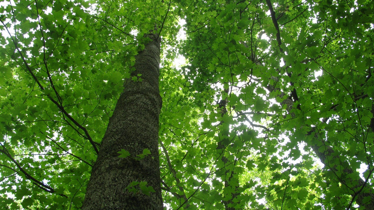 Photo of Outdoor in Rocky Grove