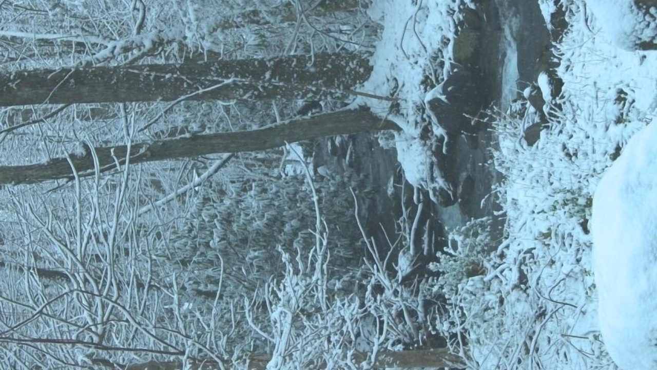Photo of Others in Rocky Grove