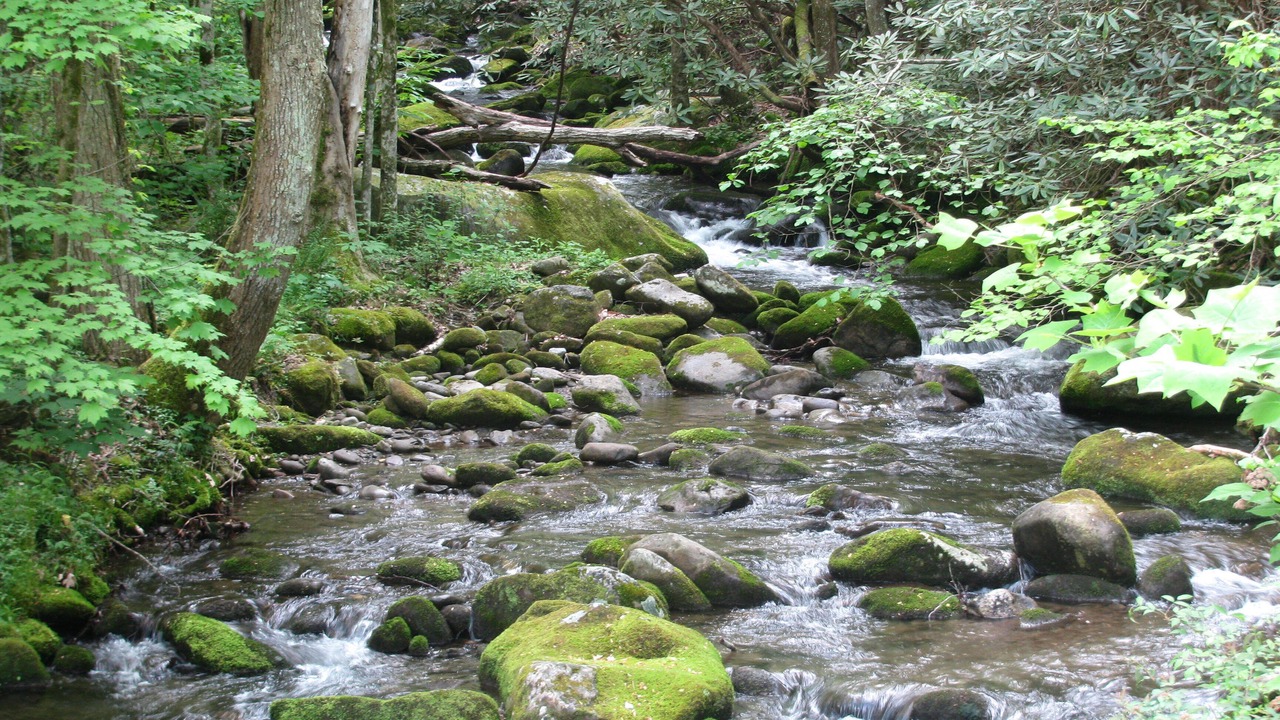 Photo of Outdoor in Rocky Grove