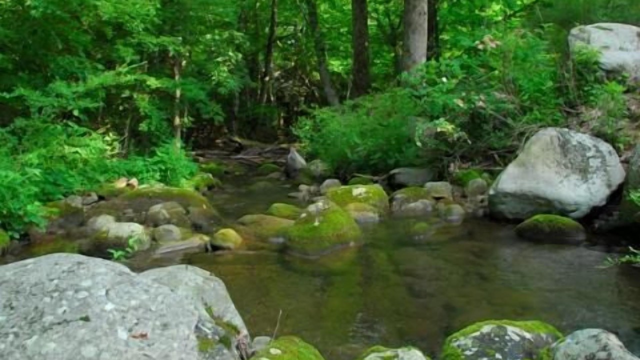 Photo of Outdoor in Rocky Grove