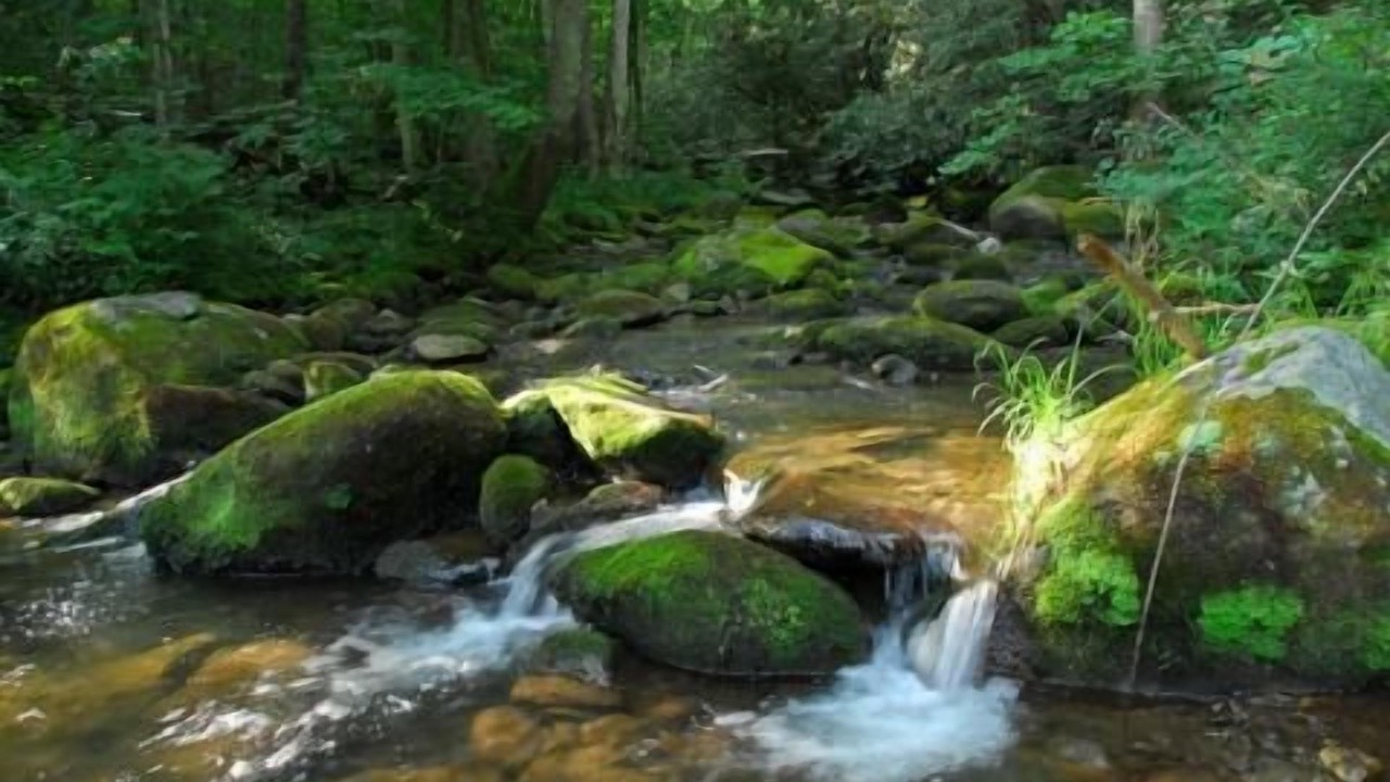 Photo of Outdoor in Rocky Grove