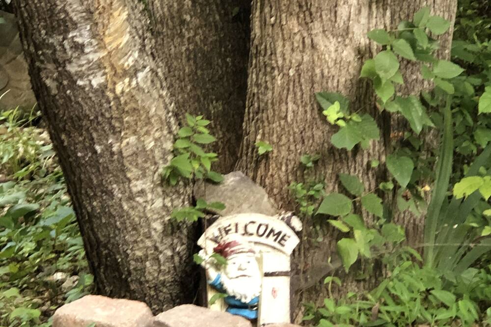 Photo of Outdoor in Cosby