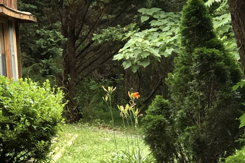 Photo of Outdoor in Cosby