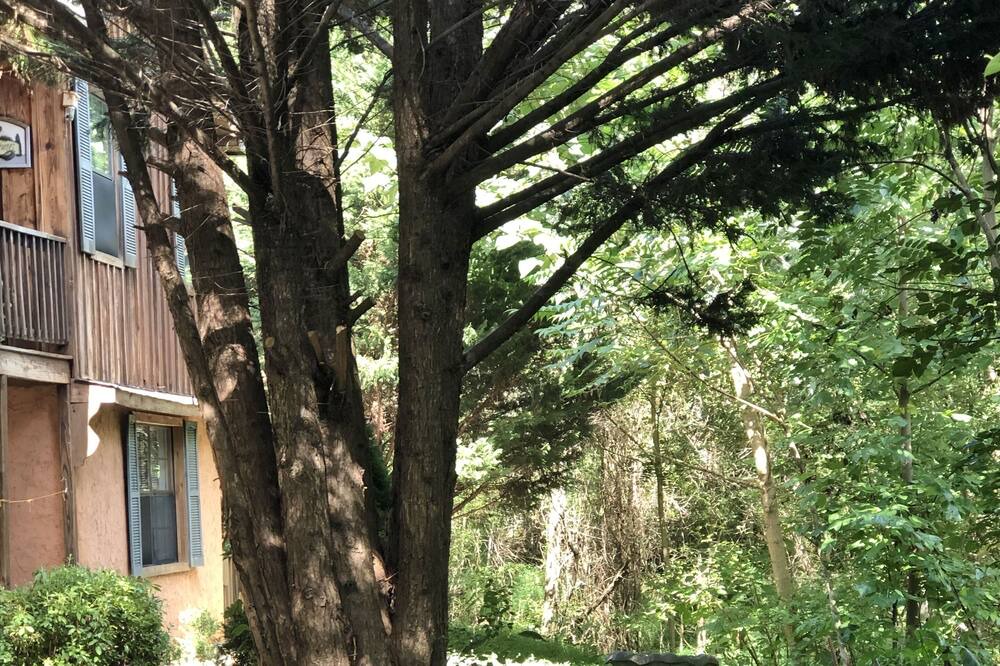 Photo of Outdoor in Cosby