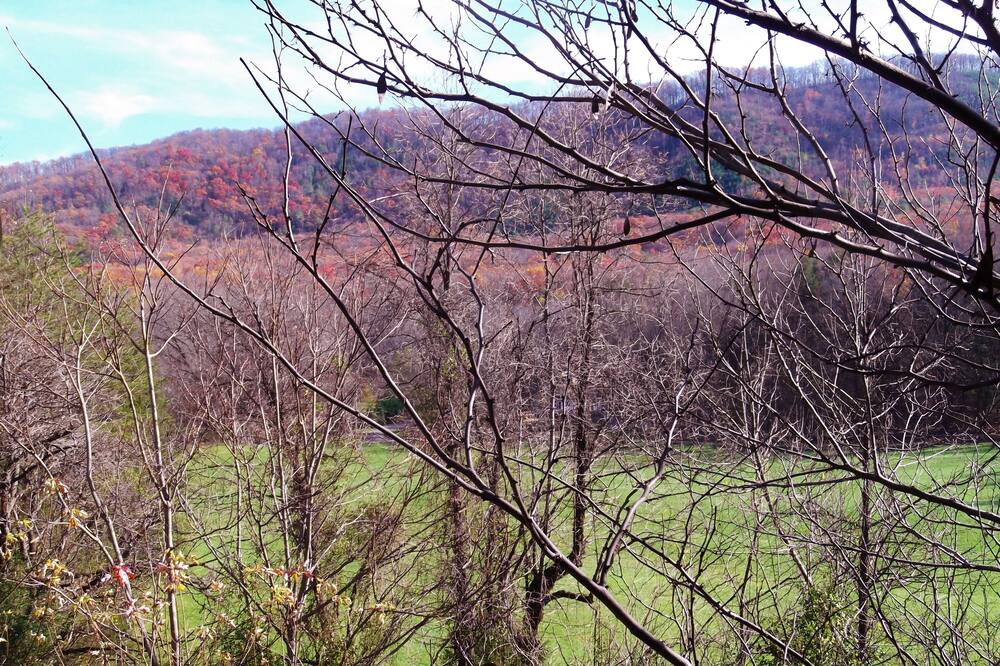 Photo of Outdoor in Cosby