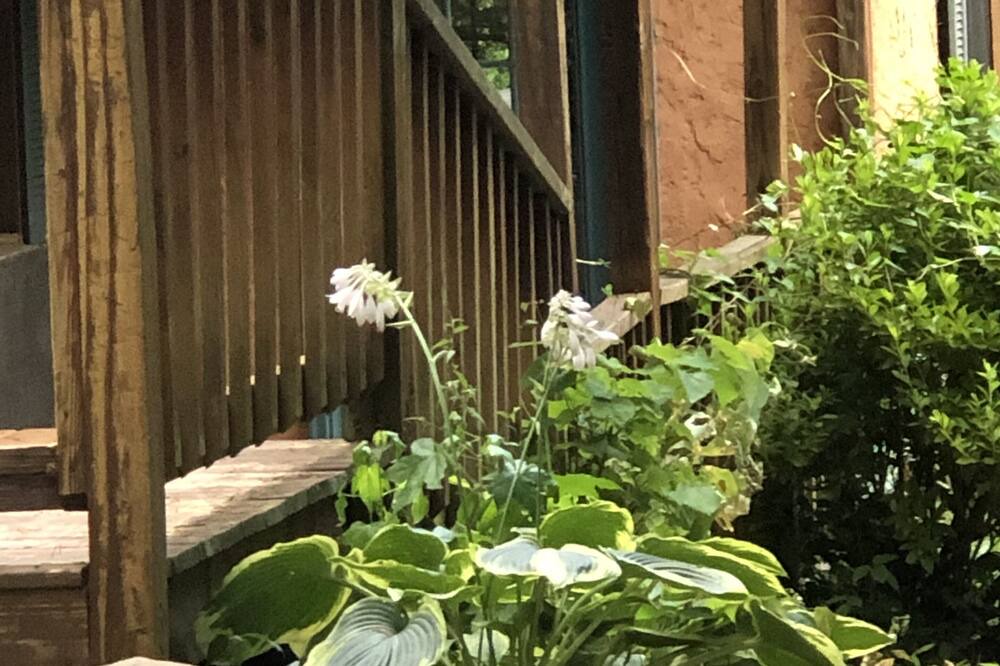 Photo of Outdoor in Cosby