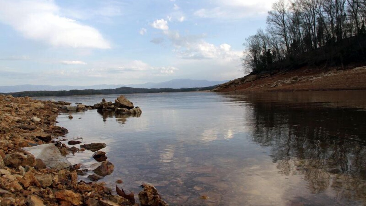 Photo of Others in Dandridge