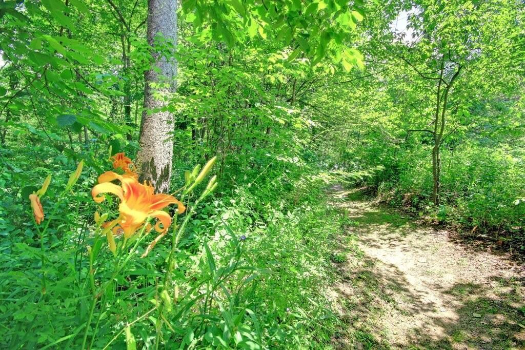 Photo of Outdoor in Alexander