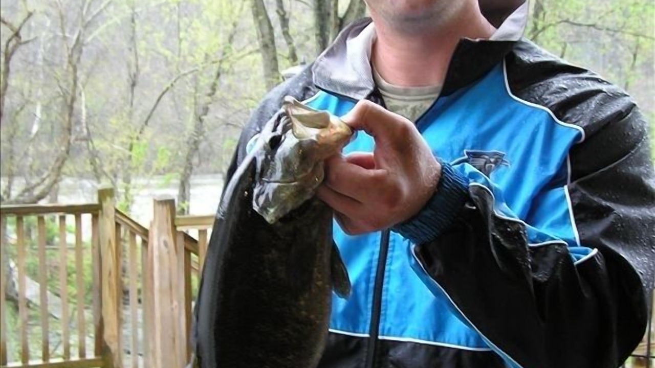 Photo of Others in Alexander