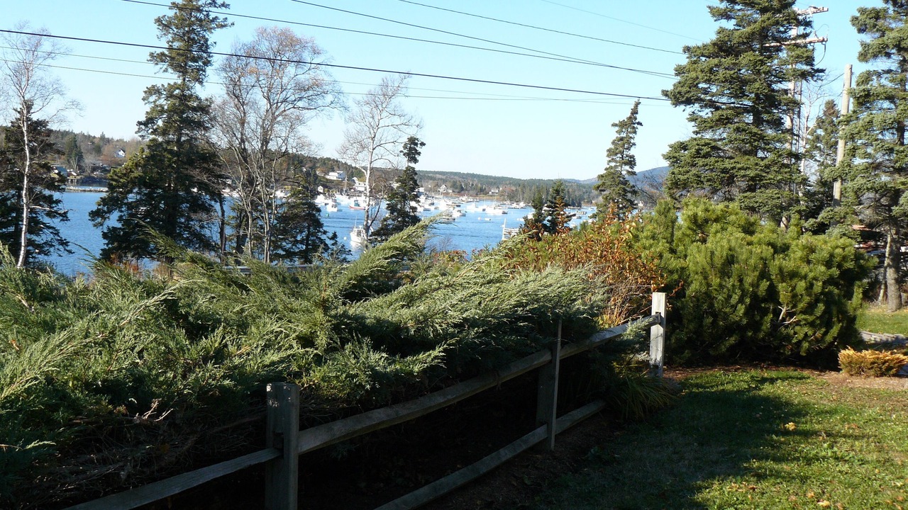 Photo of Outdoor in Bass Harbor