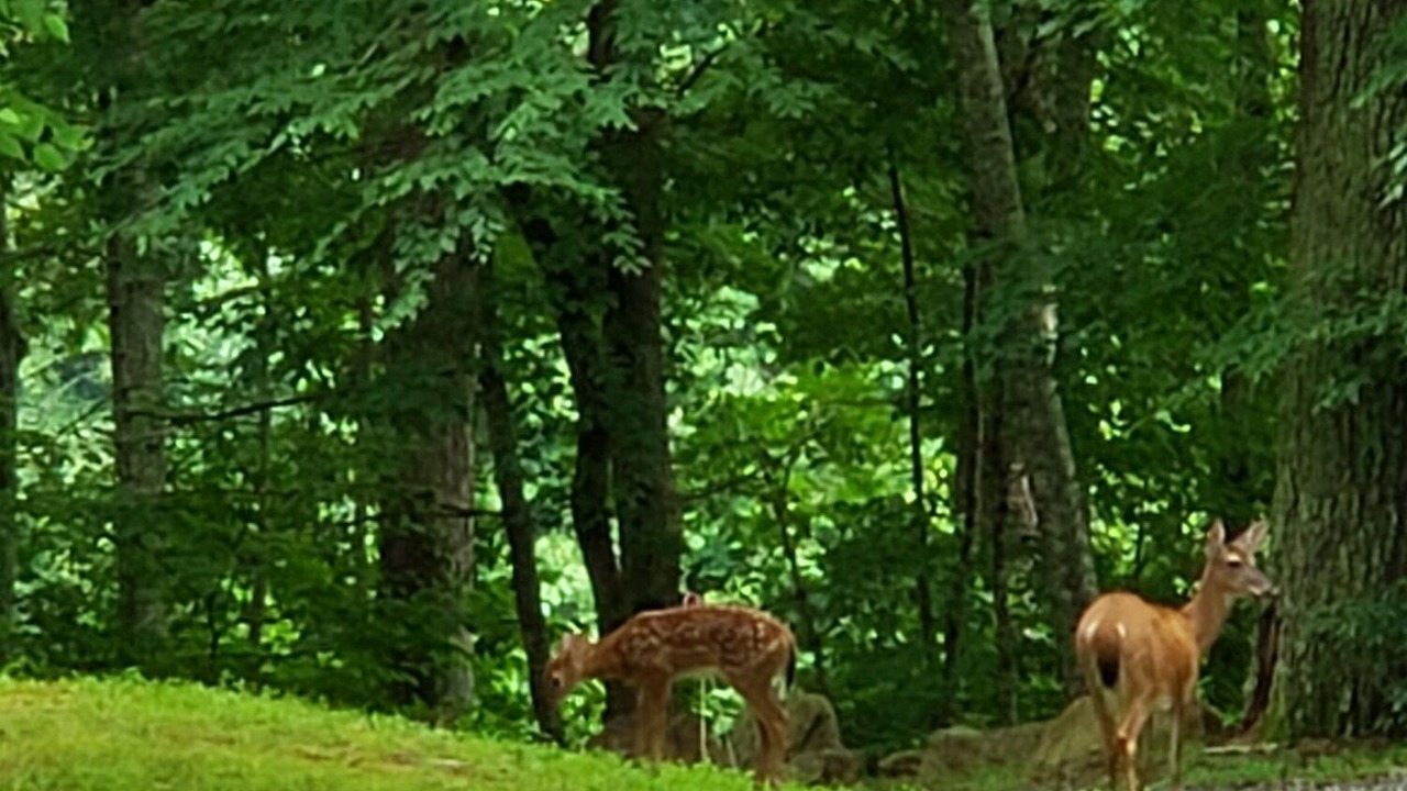 Photo of Others in Hot Springs