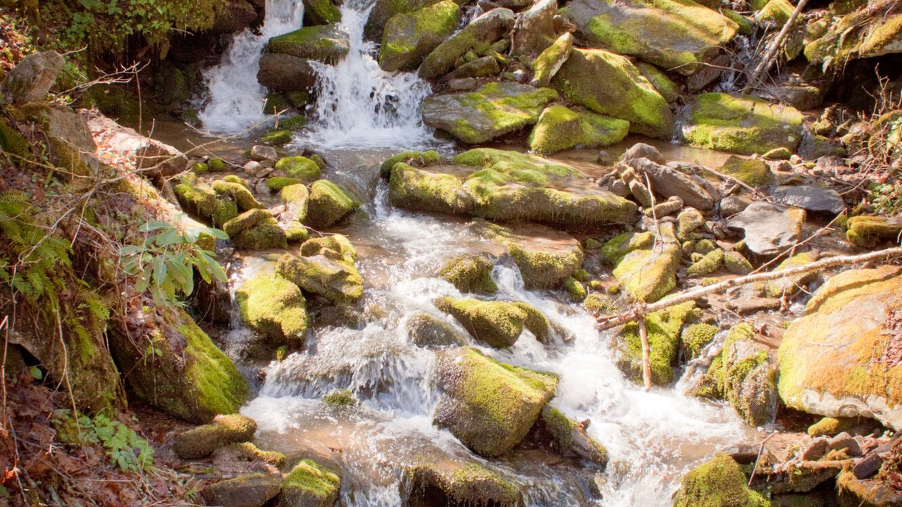 Photo of Others in Hot Springs