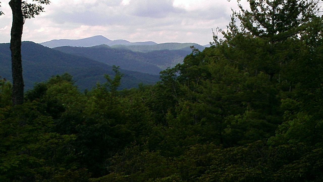 Photo of Outdoor in Lake Toxaway