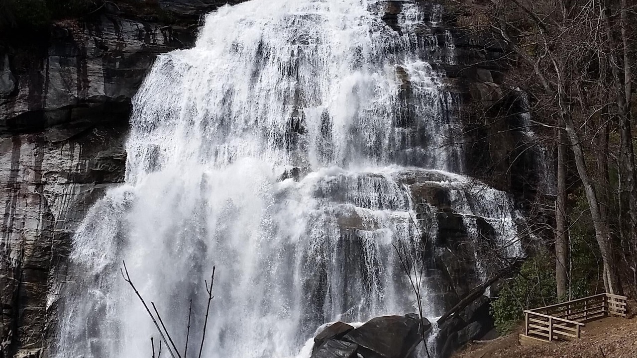 Photo of Outdoor in Lake Toxaway
