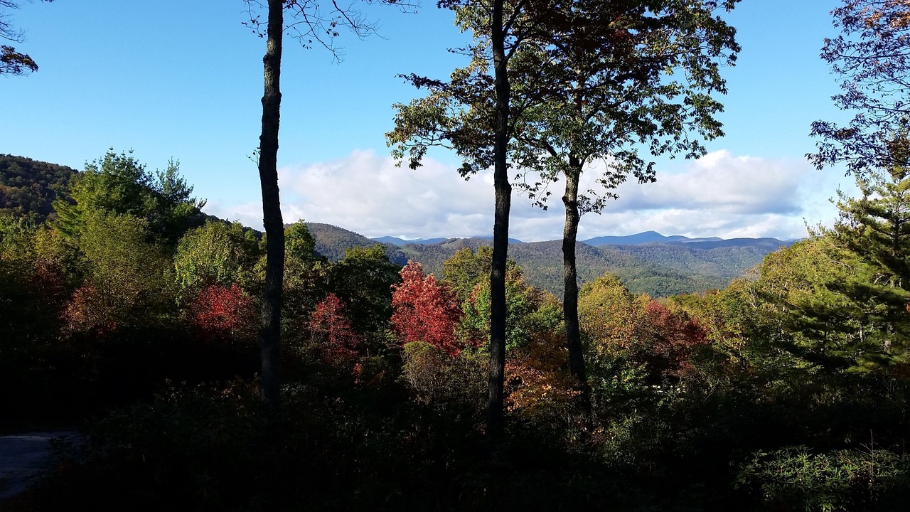 Photo of Outdoor in Lake Toxaway