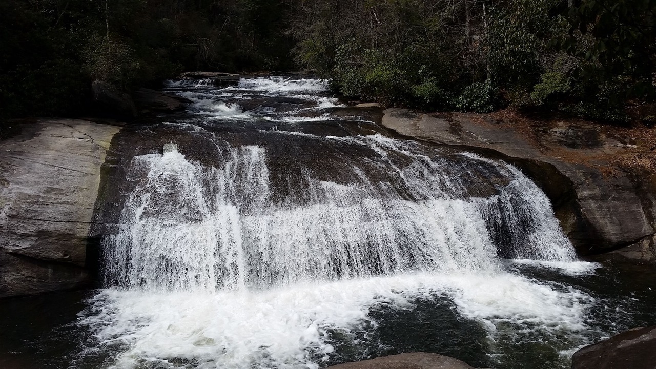 Photo of Others in Lake Toxaway