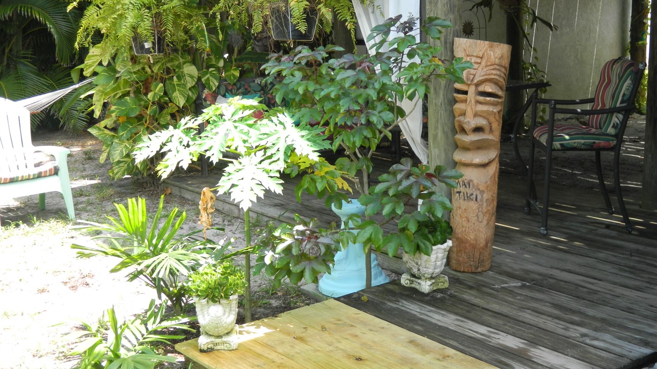 Photo of Outdoor in Cocoa Beach